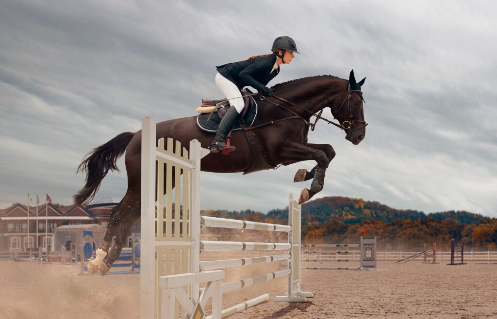 Jumping Horses for sale: Rider jumping a sport horse over an obstacle during training